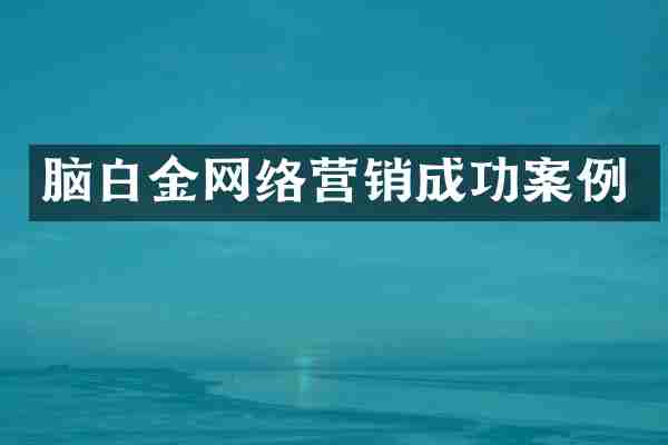 脑白金网络营销成功案例