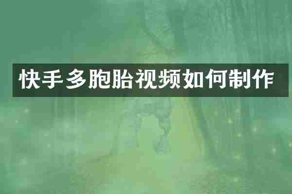 快手多胞胎视频如何制作