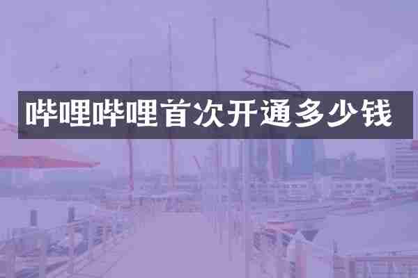哔哩哔哩首次开通多少钱