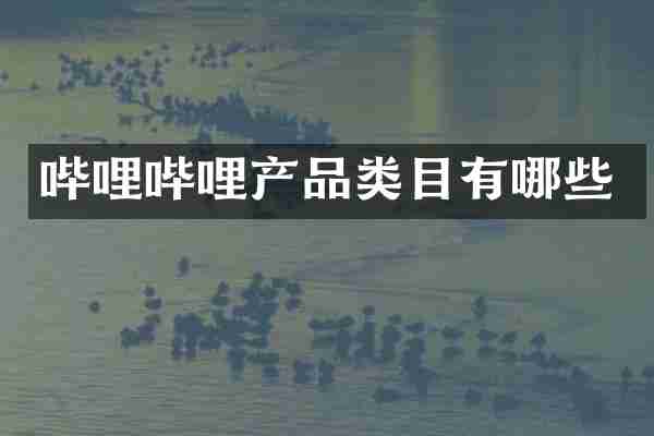哔哩哔哩产品类目有哪些