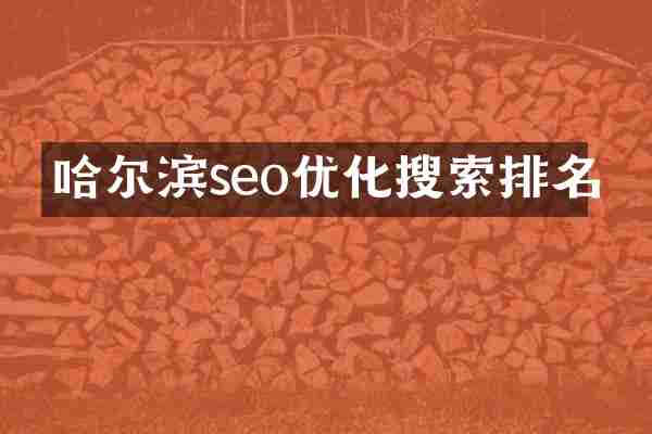 哈尔滨seo优化搜索排名
