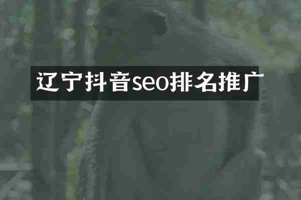辽宁抖音seo排名推广