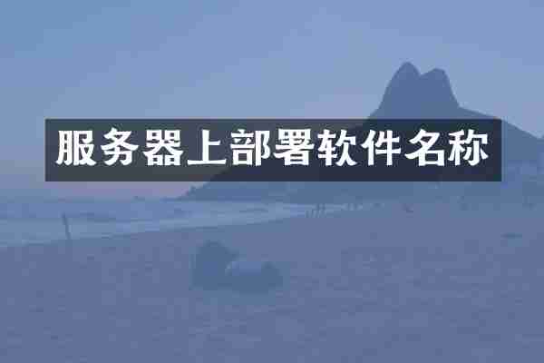 服务器上部署软件名称