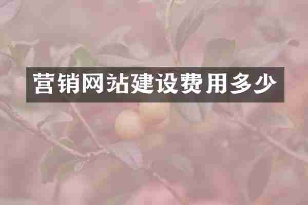 营销网站建设费用多少