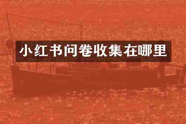 小红书问卷收集在哪里