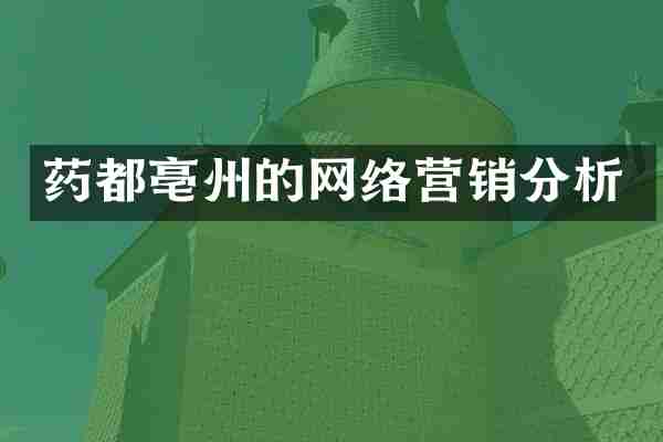 药都亳州的网络营销分析