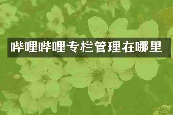哔哩哔哩专栏管理在哪里