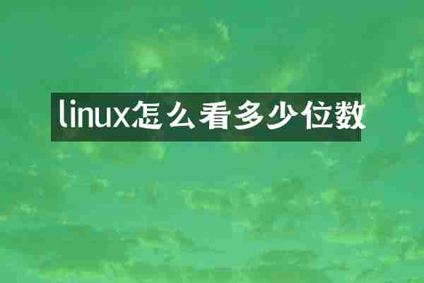 linux怎么看多少位数