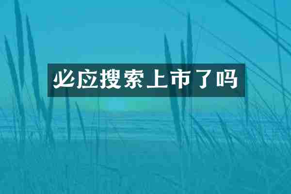 必应搜索上市了吗