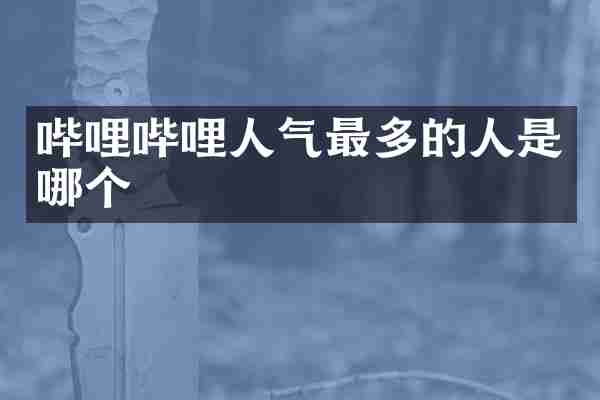 哔哩哔哩人气最多的人是哪个