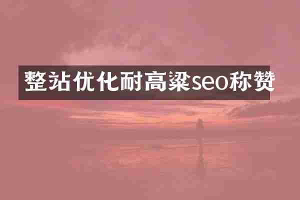 整站优化耐高粱seo称赞