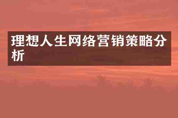 理想人生网络营销策略分析