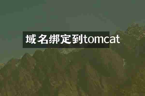 域名绑定到tomcat