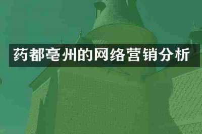 药都亳州的网络营销分析