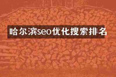 哈尔滨seo优化搜索排名