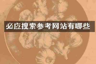 必应搜索参考网站有哪些