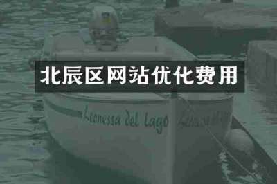 北辰区网站优化费用