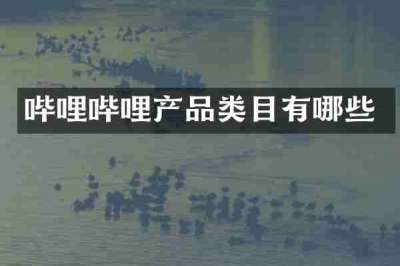 哔哩哔哩产品类目有哪些