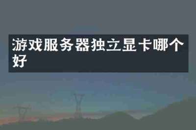 游戏服务器独立显卡哪个好