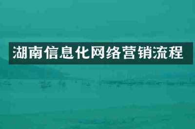 湖南信息化网络营销流程