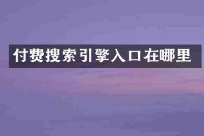 付费搜索引擎入口在哪里