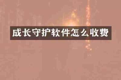 成长守护软件怎么收费
