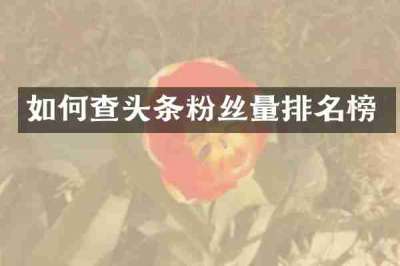 如何查头条粉丝量排名榜