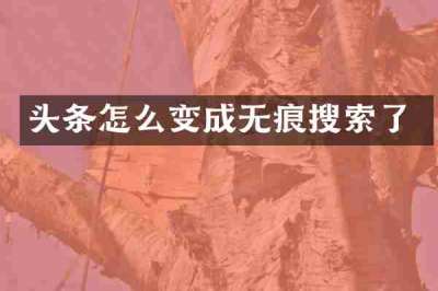 头条怎么变成无痕搜索了