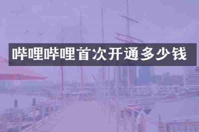 哔哩哔哩首次开通多少钱