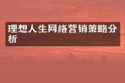 理想人生网络营销策略分析