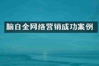脑白金网络营销成功案例
