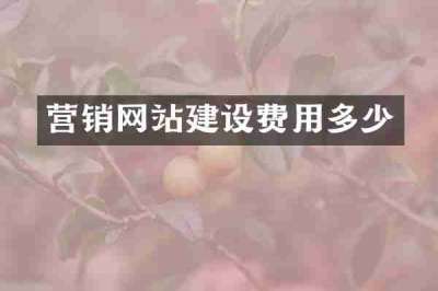 营销网站建设费用多少