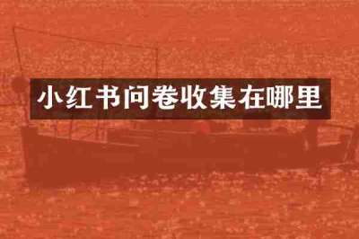 小红书问卷收集在哪里