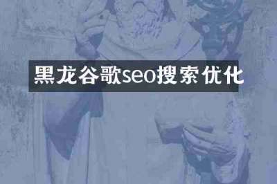 黑龙谷歌seo搜索优化