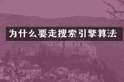为什么要走搜索引擎算法