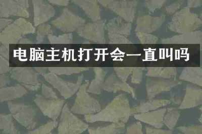电脑主机打开会一直叫吗