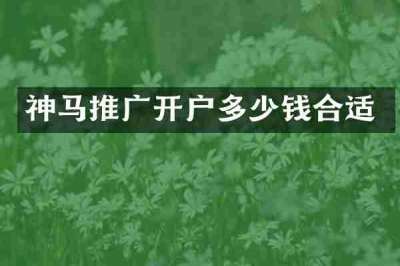神马推广开户多少钱合适