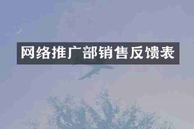 网络推广部销售反馈表