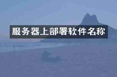 服务器上部署软件名称