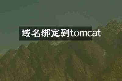 域名绑定到tomcat