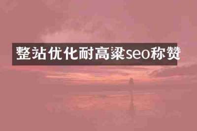 整站优化耐高粱seo称赞