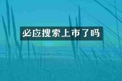 必应搜索上市了吗