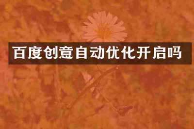 百度创意自动优化开启吗