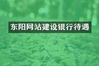 东阳网站建设银行待遇
