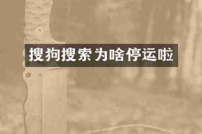 搜狗搜索为啥停运啦
