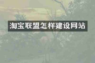 淘宝联盟怎样建设网站
