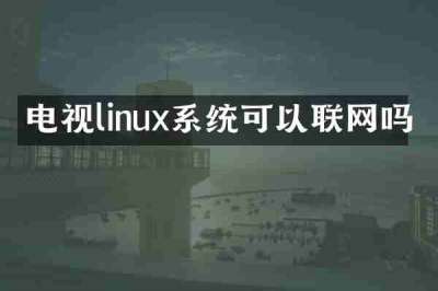 电视linux系统可以联网吗