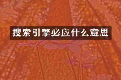 搜索引擎必应什么意思