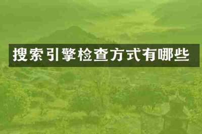 搜索引擎检查方式有哪些