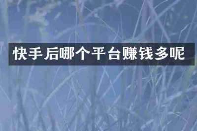 快手后哪个平台赚钱多呢
